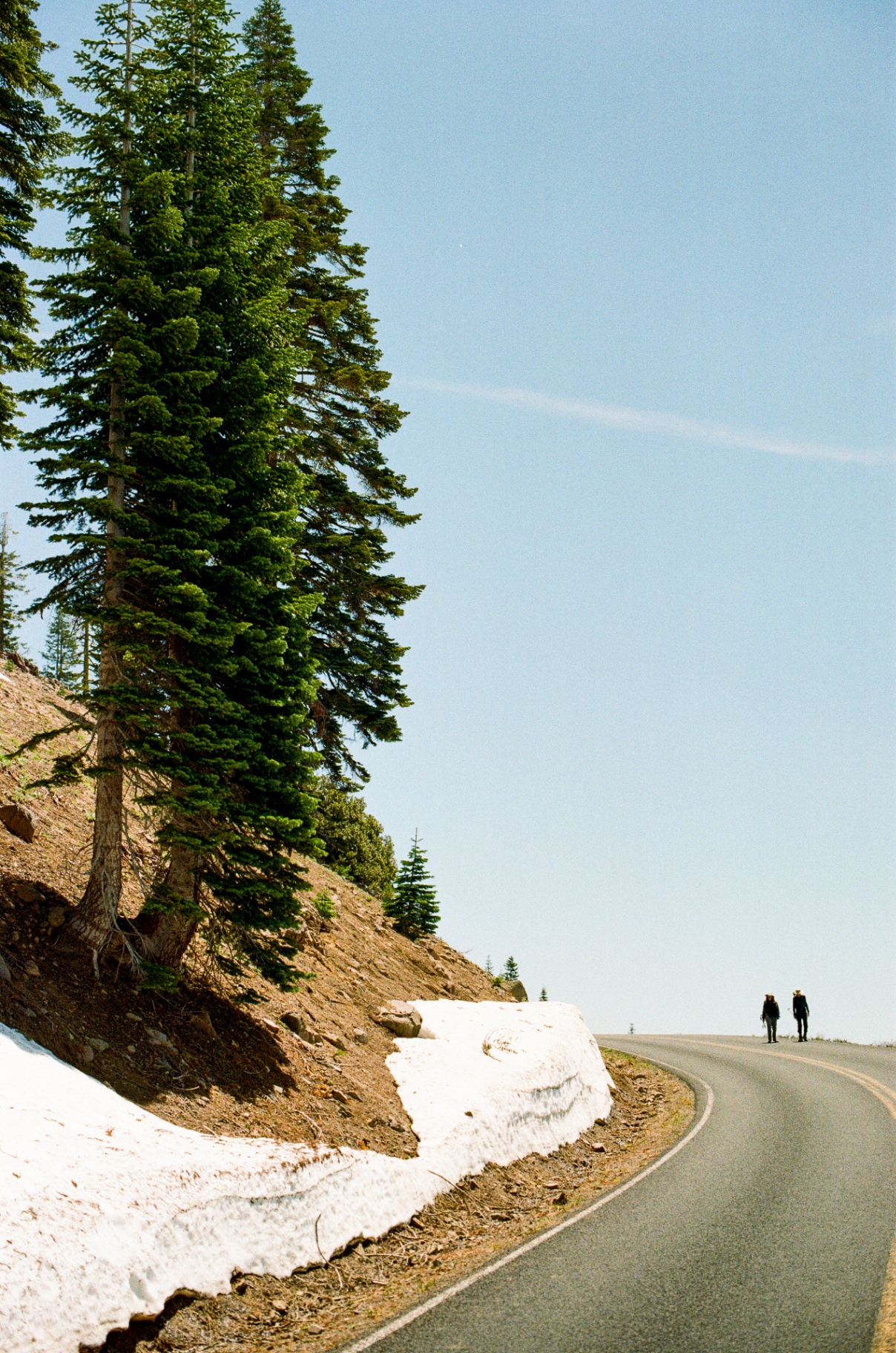 Asphalt Meets Alpine